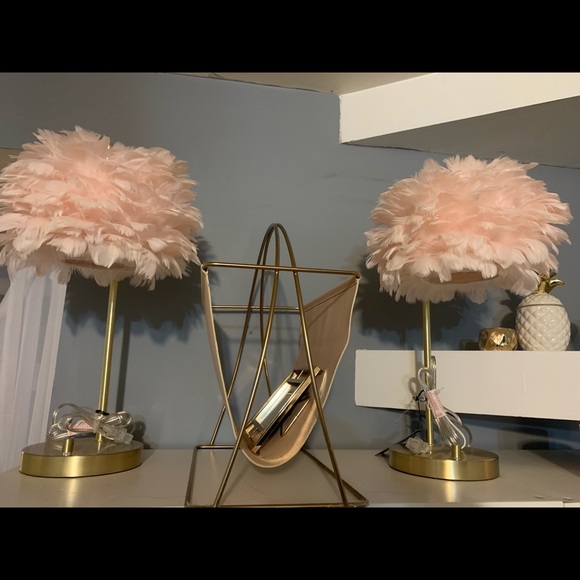 Pink feather and gold lights brand new with tags - Picture 1 of 2